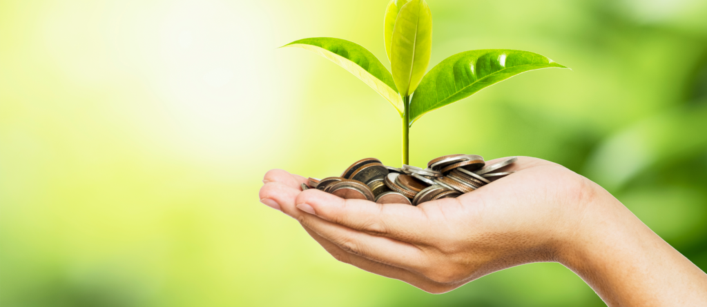 Non Profit News